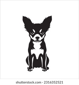 chihuahua dog breed vector illustration