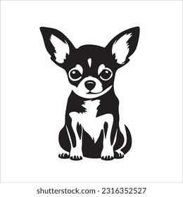 chihuahua dog breed vector illustration