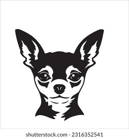 chihuahua dog breed vector illustration
