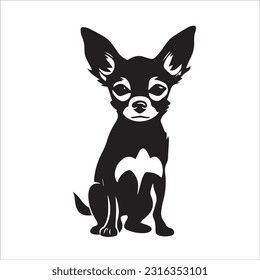 chihuahua dog breed vector illustration