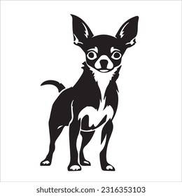 chihuahua dog breed vector illustration