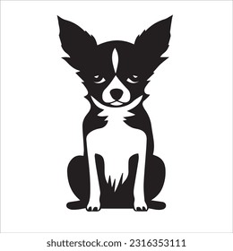 chihuahua dog breed vector illustration