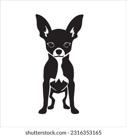 chihuahua dog breed vector illustration