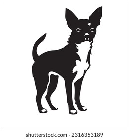 chihuahua dog breed vector illustration