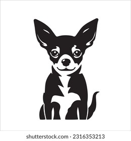 chihuahua dog breed vector illustration
