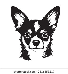 chihuahua dog breed vector illustration
