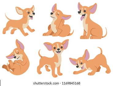 chihuahua dog cartoon set