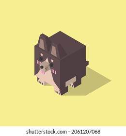 Chihuahua dog cubic isometric on yellow background