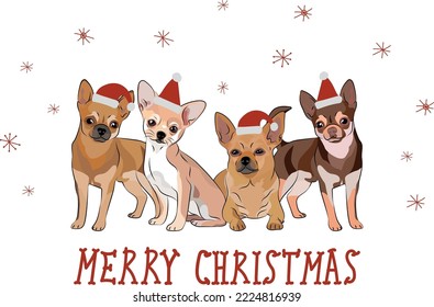 Chihuahua dog drawing. Cute dog characters in various poses, designs for prints, adorable and cute Christmas toy dog breed cartoon vector set, in different poses in hats, smiling cute pet.