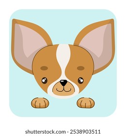 Chihuahua cão face plana vetor ilustração. Ícone do cachorro Chihuahua