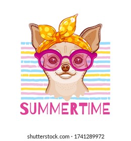 Chihuahua Dog in fashion headband and glasses. Vector cute girl puppy.  Funny cartoon illustration in cool hipster style. Summer animal art. Hand drawn pet for greeting card design, t shirt print