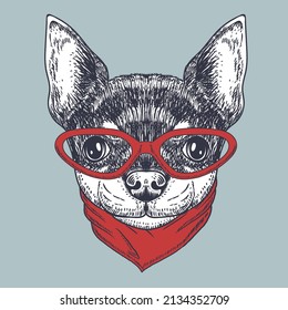 Chihuahua dog hand drawn wearing a red glasses and bandana neck for your company or brand