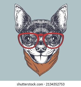 Chihuahua dog hand drawn wearing a red glasses and bandana for your company or brand