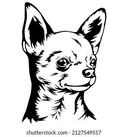 chihuahua dog head logo vector eps. chihuahua head illustration. chihuahua dog head icon