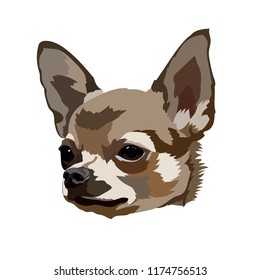 Chihuahua Dog Head Vector
