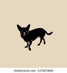 Chihuahua dog - isolated vector illustration