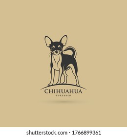 Chihuahua dog - isolated vector illustration