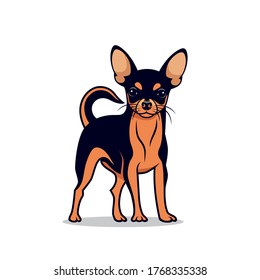 Chihuahua Dog - Isolated Vector Illustration