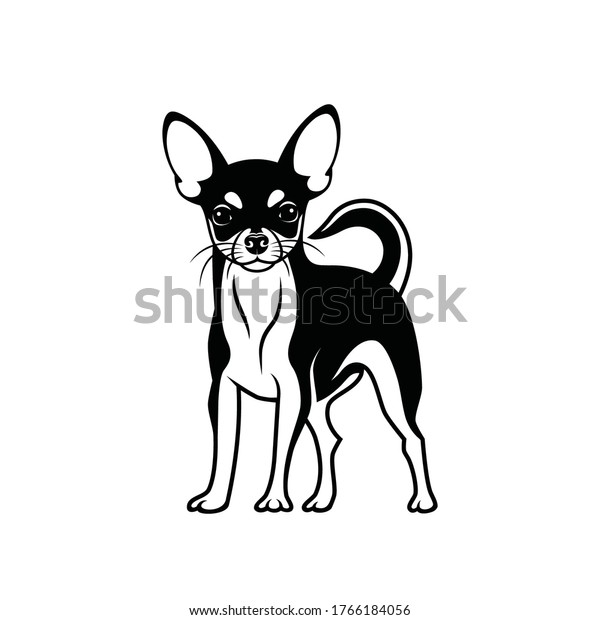 Chihuahua Dog Isolated Vector Illustration Stock Vector (Royalty Free ...