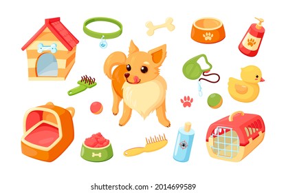Chihuahua dog with kennel, carrier, toys and grooming stuff. Chihuahua puppy with pet accessories. Vector illustration in cute cartoon style