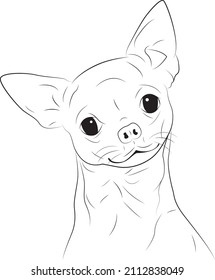 Chihuahua Dog Line Art Vector