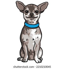 Chihuahua Dog Pet Colored Drawing