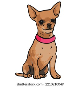 Chihuahua Dog Pet Colored Drawing