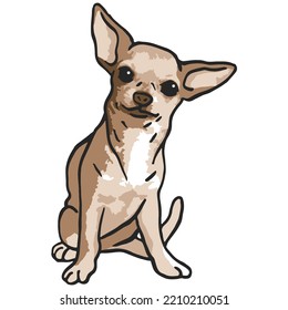 Chihuahua Dog Pet Colored Drawing