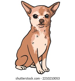 Chihuahua Dog Pet Colored Drawing