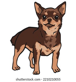 Chihuahua Dog Pet Colored Drawing