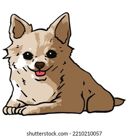 Chihuahua Dog Pet Colored Drawing