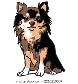 Chihuahua Dog Pet Colored Drawing