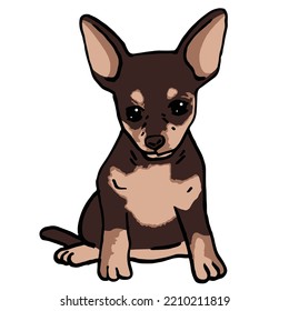 Chihuahua Dog Pet Colored Drawing