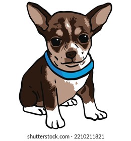 Chihuahua Dog Pet Colored Drawing