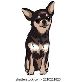 Chihuahua Dog Pet Colored Drawing