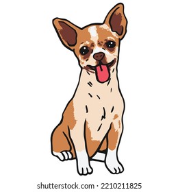 Chihuahua Dog Pet Colored Drawing