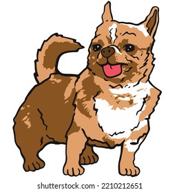 Chihuahua Dog Pet Colored Drawing