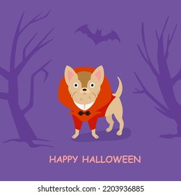 Chihuahua dog with red vampire Halloween costume vector illustration with red costume for card design with lettering phrase - Happy Halloween
