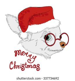 Chihuahua. Dog rendered in a vector. Hand drawing. Pet. 
