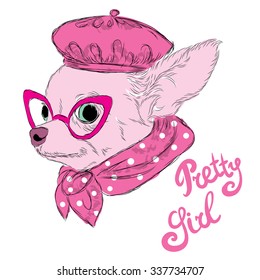 Chihuahua. Dog rendered in a vector. Hand drawing. Pet. A dog in a beret.
