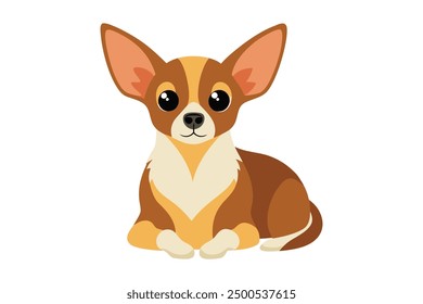 chihuahua dog rest colourful vector illustration.