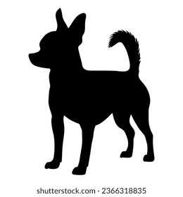 Chihuahua dog silhouette icon symbol. Vector illustration