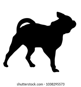 Chihuahua dog silhouette on a white background.