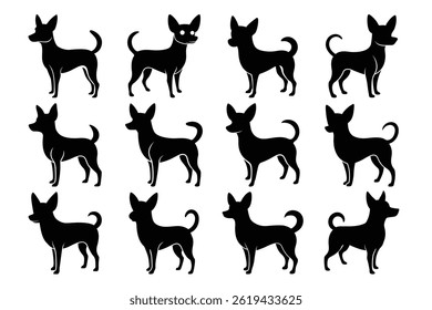 Chihuahua cão silhueta conjunto pacote coleção grupo Ilustrações vetor gráfico