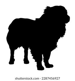 chihuahua dog silhouette. Vector dog breeds