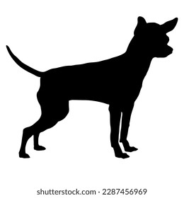 chihuahua dog silhouette. Vector dog breeds