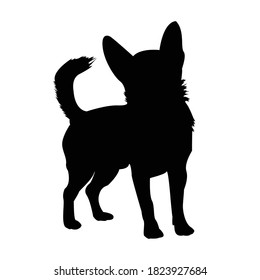 Chihuahua Dog Silhouette Vector Illustration.