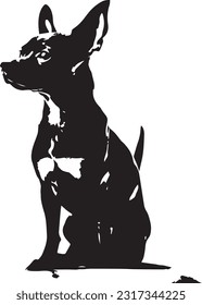 Chihuahua dog silhuette animal white background