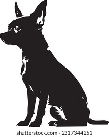 Chihuahua dog silhuette animal white background