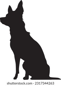 Chihuahua dog silhuette animal white background